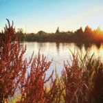 green lake 5